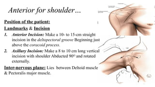 Shoulder & Arm anatomy & surgical approach.pptx