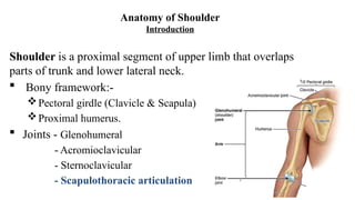 Shoulder & Arm anatomy & surgical approach.pptx