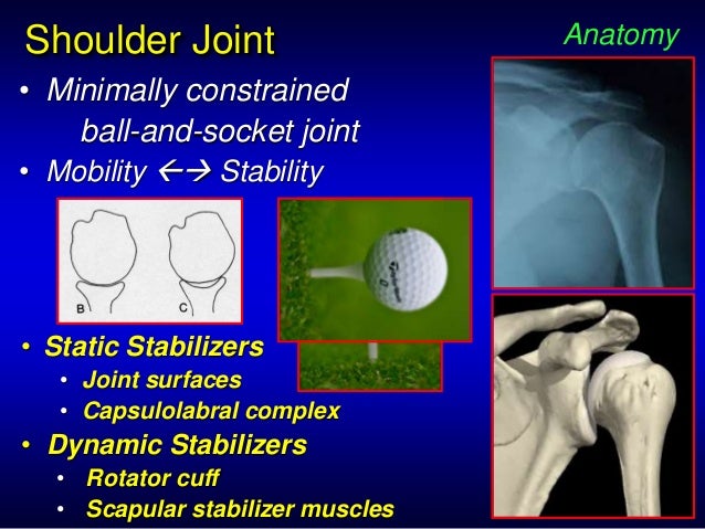 Current Concepts in Shoulder Replacement