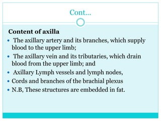 shoulder Anatomy by ayalew.orthopedic residentpptx, | PPTX