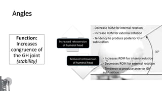 Internal Rotation Angle Rom Shoulder bio-mechanics | PPTX