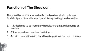 Shoulder bio-mechanics | PPTX
