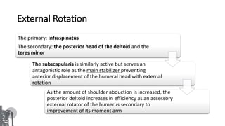 External Rotation Skeleton Shoulder bio-mechanics | PPTX
