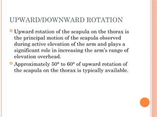 Upward Scapular Rotation Shoulder Biomechanics.pptx............... | PPTX