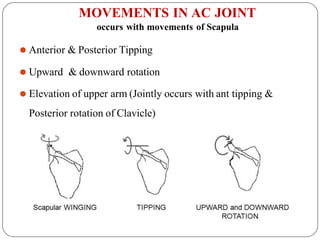 Shoulder Biomechnics - Dr.BHARTI PAWAR (PT).pptx