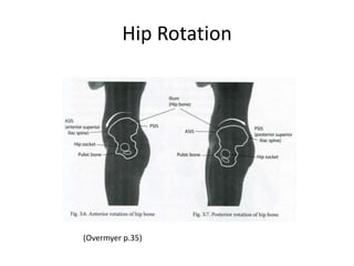 Hip Rotation




(Overmyer p.35)
 