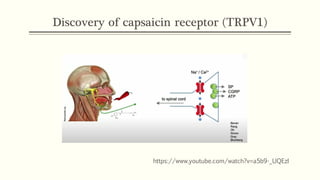 Discovery of capsaicin receptor (TRPV1)
https://www.youtube.com/watch?v=a5b9-_UQEzI
 
