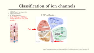 Classification of ion channels
https://www.guidetopharmacology.org/GRAC/FamilyIntroductionForward?familyId=78
• 300 different ion channels
• 13 superfamilies
• 6 TRP subfamilies
• Only TRPV1 and TRPA1 are
widely studied for pain, cold,
and itch
6 TRP subfamilies
Pain
Pain
 