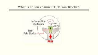 What is an ion channel, TRP-Pain Blocker?
 