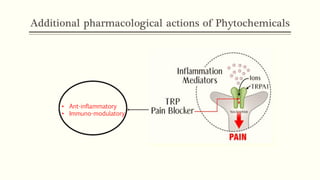 Additional pharmacological actions of Phytochemicals
• Ant-inflammatory
• Immuno-modulatory
 