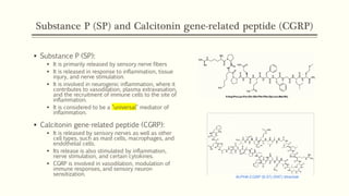 Substance P (SP) and Calcitonin gene-related peptide (CGRP)
▪ Substance P (SP):
▪ It is primarily released by sensory nerve fibers
▪ It is released in response to inflammation, tissue
injury, and nerve stimulation.
▪ It is involved in neurogenic inflammation, where it
contributes to vasodilation, plasma extravasation,
and the recruitment of immune cells to the site of
inflammation.
▪ It is considered to be a "universal" mediator of
inflammation.
▪ Calcitonin gene-related peptide (CGRP):
▪ It is released by sensory nerves as well as other
cell types, such as mast cells, macrophages, and
endothelial cells.
▪ Its release is also stimulated by inflammation,
nerve stimulation, and certain cytokines.
▪ CGRP is involved in vasodilation, modulation of
immune responses, and sensory neuron
sensitization.
 