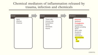 Chemical mediators of inflammation released by
trauma, infection and chemicals
Stimuli
• Injury
• Infection
• Chemical
Source
• Tissue cells
• Immune cells
• Endothelium
• Nerves
• Fibroblasts
• Plasma
Mediators
• Histamine
• Serotonin
• Prostaglandins
• Leukotrienes
• Platelet activating
factor
• Nitric oxide
• Bradykinin
• Cytokines
• Chemokines
• Neuropeptides
• SP
• CGRP
©DRKKFNG
 