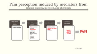 Pain perception induced by mediators from
intense exercise, infection, and chemicals
PAIN
©DRKKFNG
 