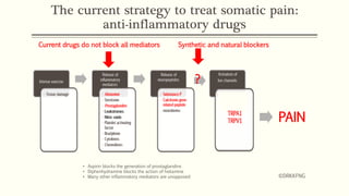 The current strategy to treat somatic pain:
anti-inflammatory drugs
PAIN
• Aspirin blocks the generation of prostaglandins
• Diphenhydramine blocks the action of histamine
• Many other inflammatory mediators are unopposed ©DRKKFNG
Current drugs do not block all mediators Synthetic and natural blockers
?
 
