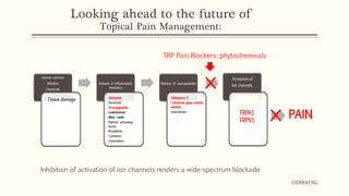 Looking ahead to the future of
Topical Pain Management:
PAIN
×
Inhibition of activation of ion channels renders a wide-spectrum blockade
©DRKKFNG
TRP Pain Blockers: phytochemicals
×
 