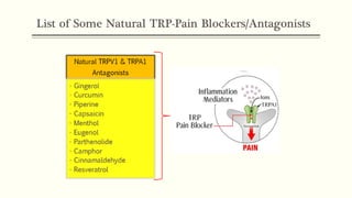 List of Some Natural TRP-Pain Blockers/Antagonists
×
 