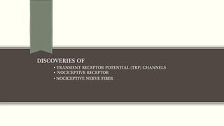 DISCOVERIES OF
▪ TRANSIENT RECEPTOR POTENTIAL (TRP) CHANNELS
▪ NOCICEPTIVE RECEPTOR
▪ NOCICEPTIVE NERVE FIBER
 