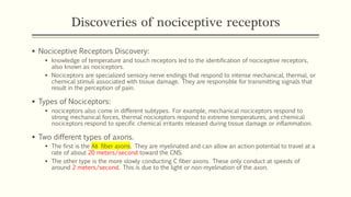 Discoveries of nociceptive receptors
▪ Nociceptive Receptors Discovery:
▪ knowledge of temperature and touch receptors led to the identification of nociceptive receptors,
also known as nociceptors.
▪ Nociceptors are specialized sensory nerve endings that respond to intense mechanical, thermal, or
chemical stimuli associated with tissue damage. They are responsible for transmitting signals that
result in the perception of pain.
▪ Types of Nociceptors:
▪ nociceptors also come in different subtypes. For example, mechanical nociceptors respond to
strong mechanical forces, thermal nociceptors respond to extreme temperatures, and chemical
nociceptors respond to specific chemical irritants released during tissue damage or inflammation.
▪ Two different types of axons.
▪ The first is the Aδ fiber axons. They are myelinated and can allow an action potential to travel at a
rate of about 20 meters/second toward the CNS.
▪ The other type is the more slowly conducting C fiber axons. These only conduct at speeds of
around 2 meters/second. This is due to the light or non-myelination of the axon.
 
