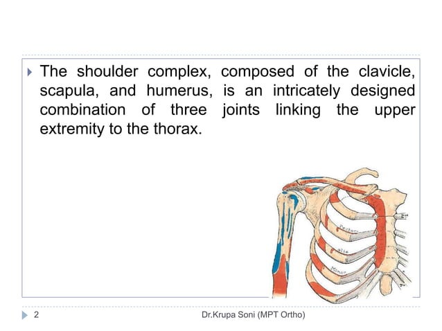 Shoulder complex Biomechanics | PPTX | Death, Injury, or Military ...