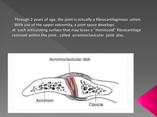 Pathological Shoulder Complex Shoulder complex | PPTX