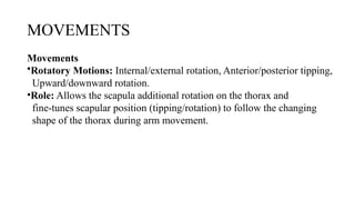 SHOULDER COMPLEX BY JOVIN for physiotherapy.pptx