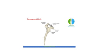 SHOULDER COMPLEX BY JOVIN for physiotherapy.pptx