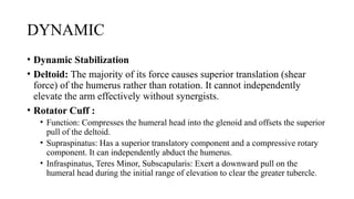 SHOULDER COMPLEX BY JOVIN for physiotherapy.pptx