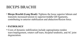 SHOULDER COMPLEX BY JOVIN for physiotherapy.pptx