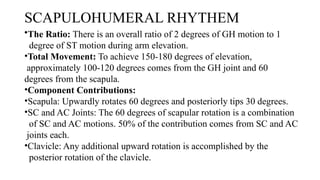 SHOULDER COMPLEX BY JOVIN for physiotherapy.pptx