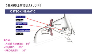 Shoulder Complex anatomy for medical .pdf
