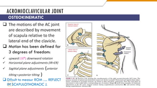 Shoulder Complex anatomy for medical .pdf