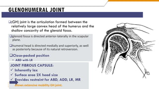 Shoulder Complex anatomy for medical .pdf