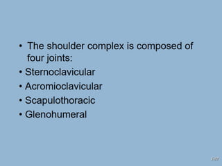 Comprehensive Analysis of the Shoulder Complex Anatomy and Kinematics ...