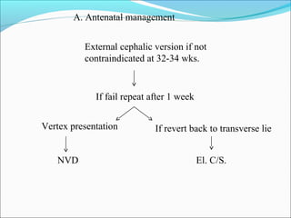 A. Antenatal management
External cephalic version if not
contraindicated at 32-34 wks.
If fail repeat after 1 week
Vertex presentation
NVD
If revert back to transverse lie
El. C/S.
 