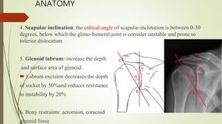 ANATOMY
4. Scapular inclination: the critical angle of scapular inclination is between 0-30
degrees, below which the gleno-humeral joint is consider unstable and prone to
inferior dislocation.
5. Glenoid labrum: increase the depth
and surface area of glenoid
 Labrum excision decreases the depth
of socket by 50%and reduces resistance
to instability by 20%
6. Bony restraints: acromion, coracoid
glenoid fossa
 