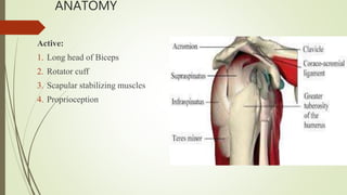 ANATOMY
Active:
1. Long head of Biceps
2. Rotator cuff
3. Scapular stabilizing muscles
4. Proprioception
 
