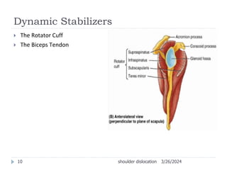 shoulder dislocation.ppnnnnnnnnnnnnnnnnt | PPT