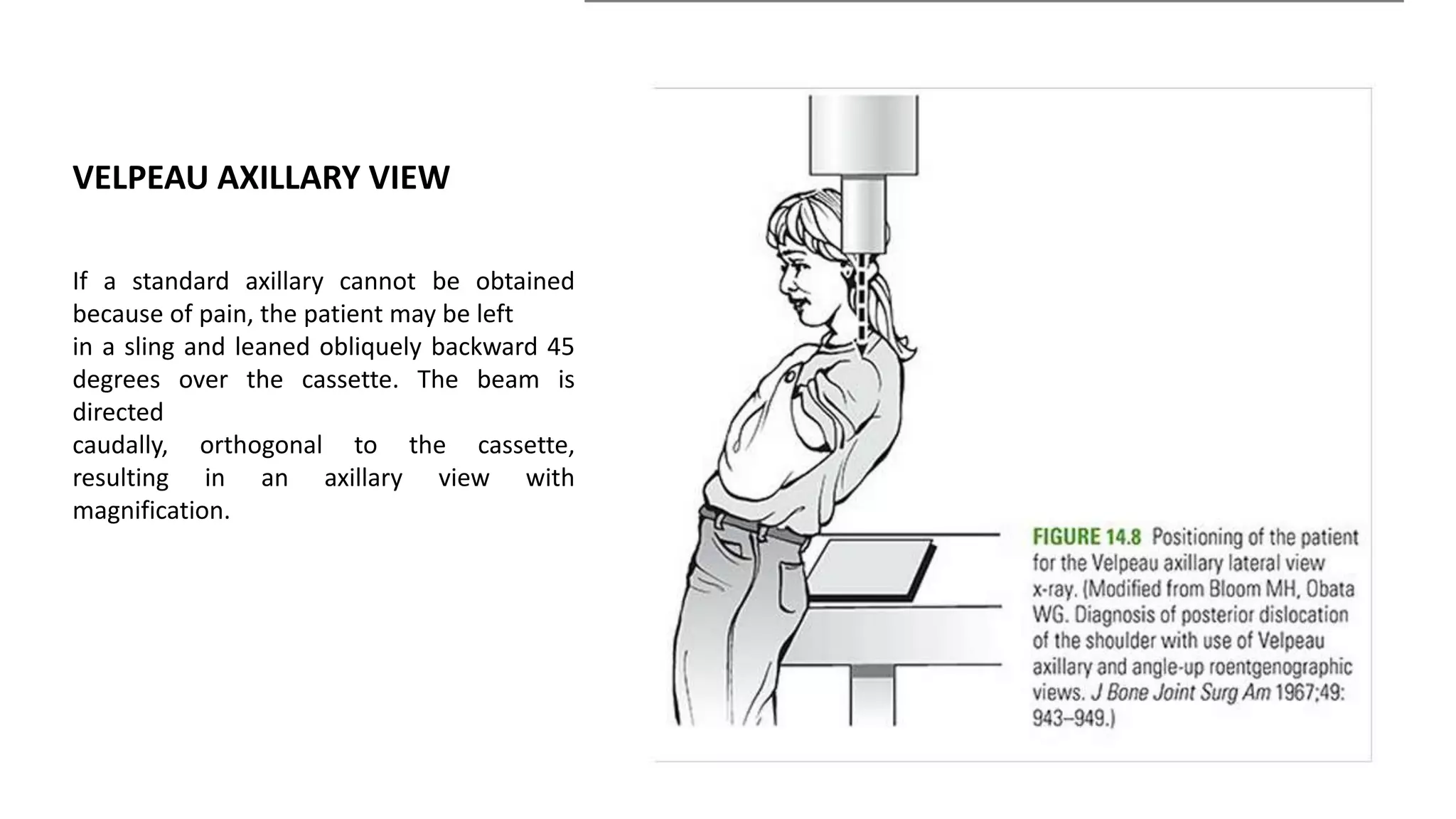 VELPEAU AXILLARY VIEW
If a standard axillary cannot be obtained
because of pain, the patient may be left
in a sling and leaned obliquely backward 45
degrees over the cassette. The beam is
directed
caudally, orthogonal to the cassette,
resulting in an axillary view with
magnification.
 