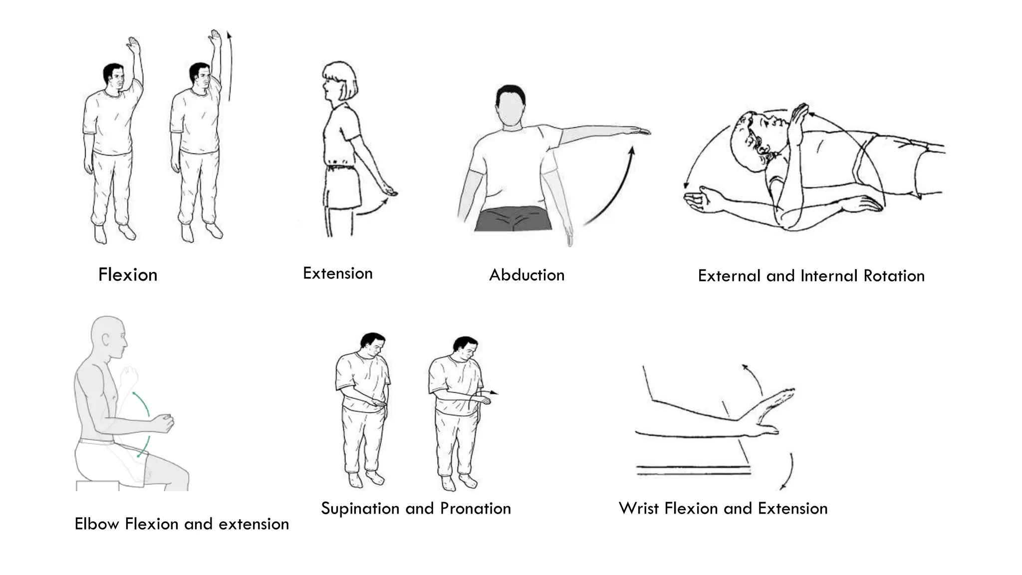 Flexion Extension Abduction External and Internal Rotation
Wrist Flexion and Extension
Supination and Pronation
Elbow Flexion and extension
 