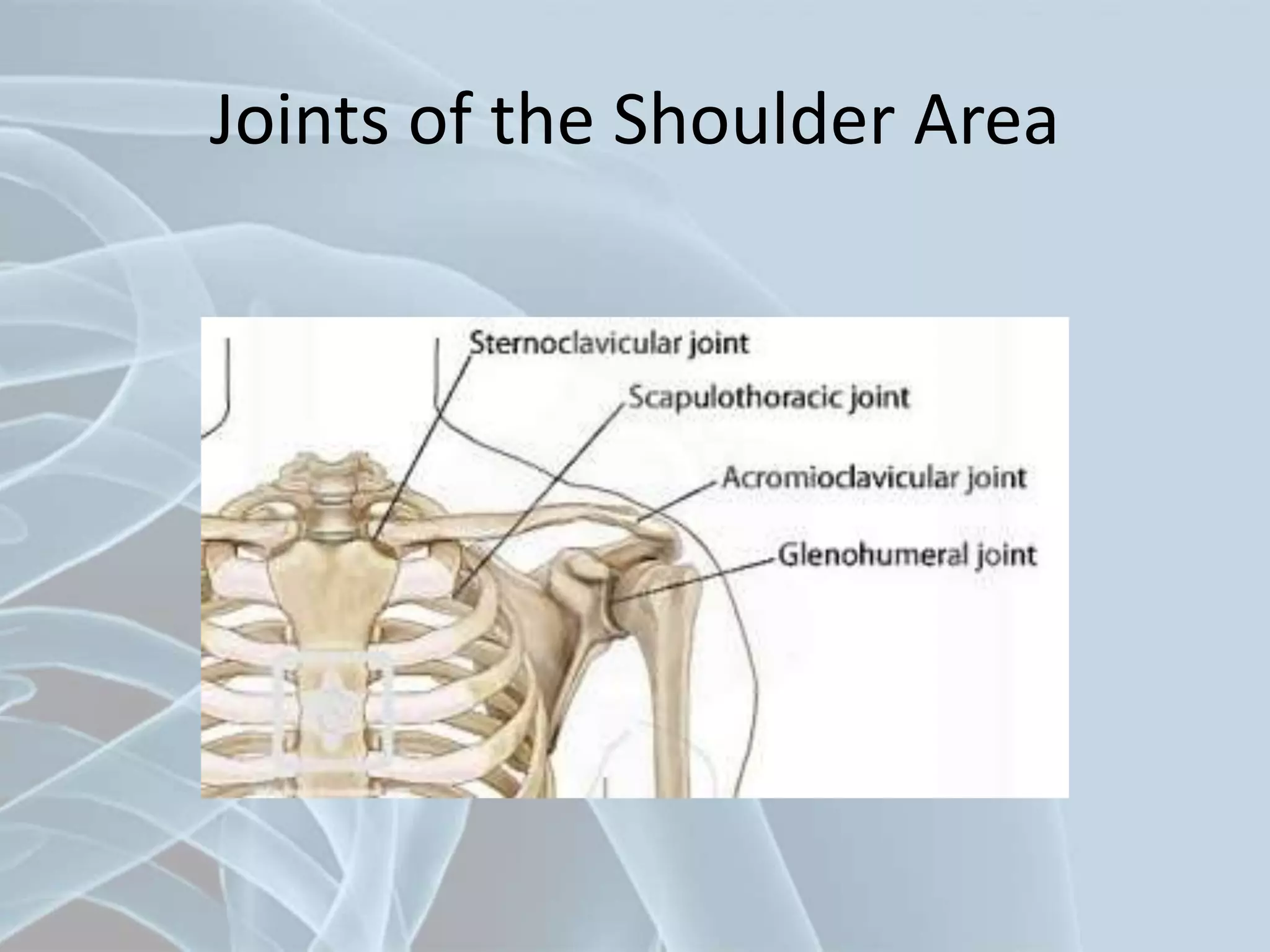 Joints of the Shoulder Area
 