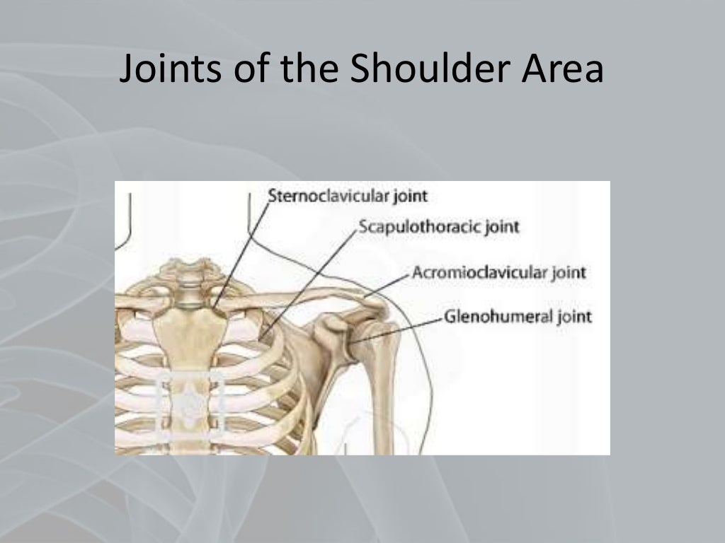 Shoulder Disorders