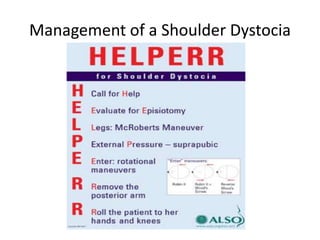 Management of a Shoulder Dystocia