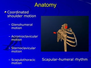 Anatomy
Coordinated
shoulder motion
– Glenohumeral
motion
– Acromioclavicular
motion
– Sternoclavicular
motion
– Scapulothoracic
motion

Scapular-humeral rhythm

 