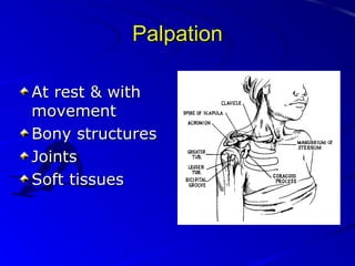 Palpation
At rest & with
movement
Bony structures
Joints
Soft tissues

 