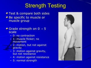 Strength Testing
Test & compare both sides
Be specific to muscle or
muscle group
Grade strength on 0 → 5
scale
– 0: no contraction
– 1: muscle flicker; no
movement
– 2: motion, but not against
gravity
– 3: motion against gravity,
but not resistance
– 4: motion against resistance
– 5: normal strength

 