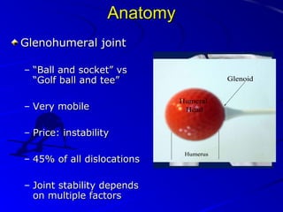Anatomy
Glenohumeral joint
– “Ball and socket” vs
“Golf ball and tee”
– Very mobile
– Price: instability
– 45% of all dislocations
– Joint stability depends
on multiple factors

 