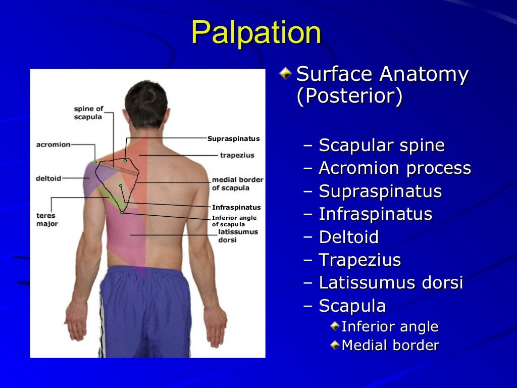 Shoulder exam studentsandresidents