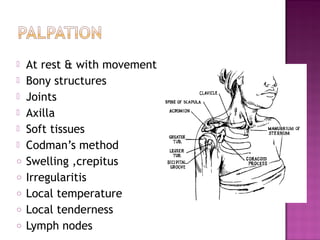    At rest & with movement
   Bony structures
   Joints
   Axilla
   Soft tissues
   Codman’s method
o   Swelling ,crepitus
o   Irregularitis
o   Local temperature
o   Local tenderness
o   Lymph nodes
 