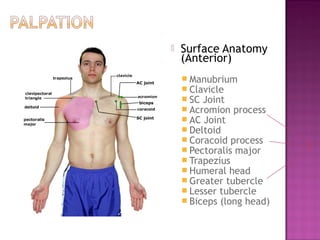    Surface Anatomy
               (Anterior)
AC joint
                Manubrium
                Clavicle
 biceps
                SC Joint
                Acromion process
SC joint
                AC Joint
                Deltoid
                Coracoid process
                Pectoralis major
                Trapezius
                Humeral head
                Greater tubercle
                Lesser tubercle
                Biceps (long head)
 
