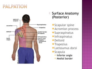    Surface Anatomy
                      (Posterior)
Supraspinatus
                       Scapular spine
                       Acromion process
                       Supraspinatus
 Infraspinatus         Infraspinatus
 Inferior angle
 of scapula
                       Deltoid
                       Trapezius
                       Latissumus dorsi
                       Scapula
                          Inferior angle
                          Medial border
 